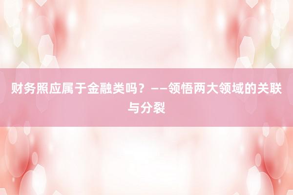 财务照应属于金融类吗？——领悟两大领域的关联与分裂